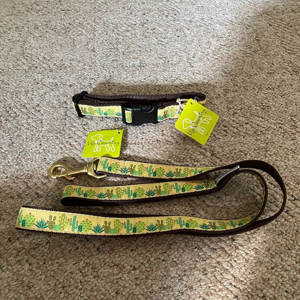 Up Country collar and leash set. NWT